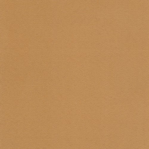 Camel 150